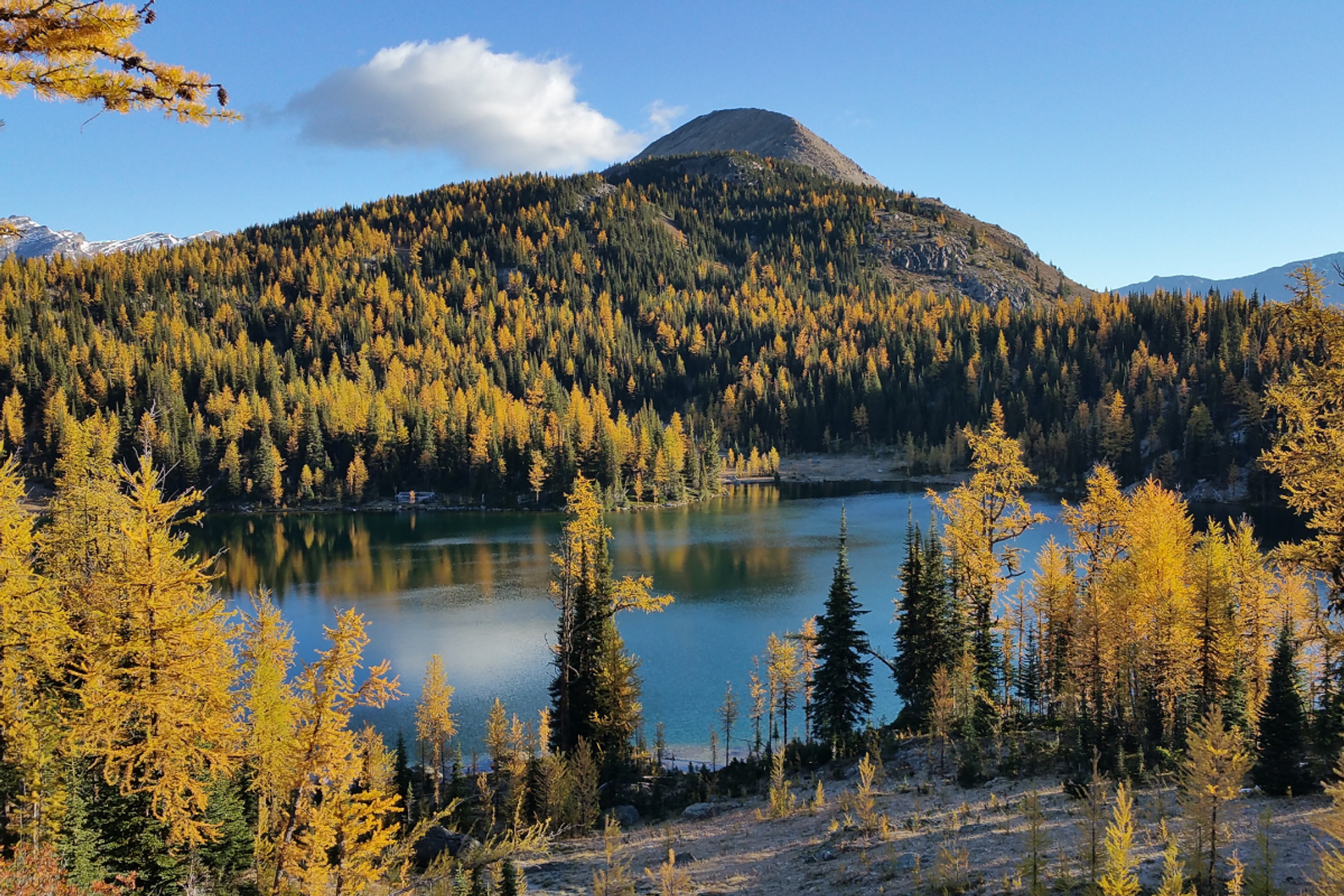 Alpine lake surrounded by golden larch trees and forested mountain slopes in autumn.