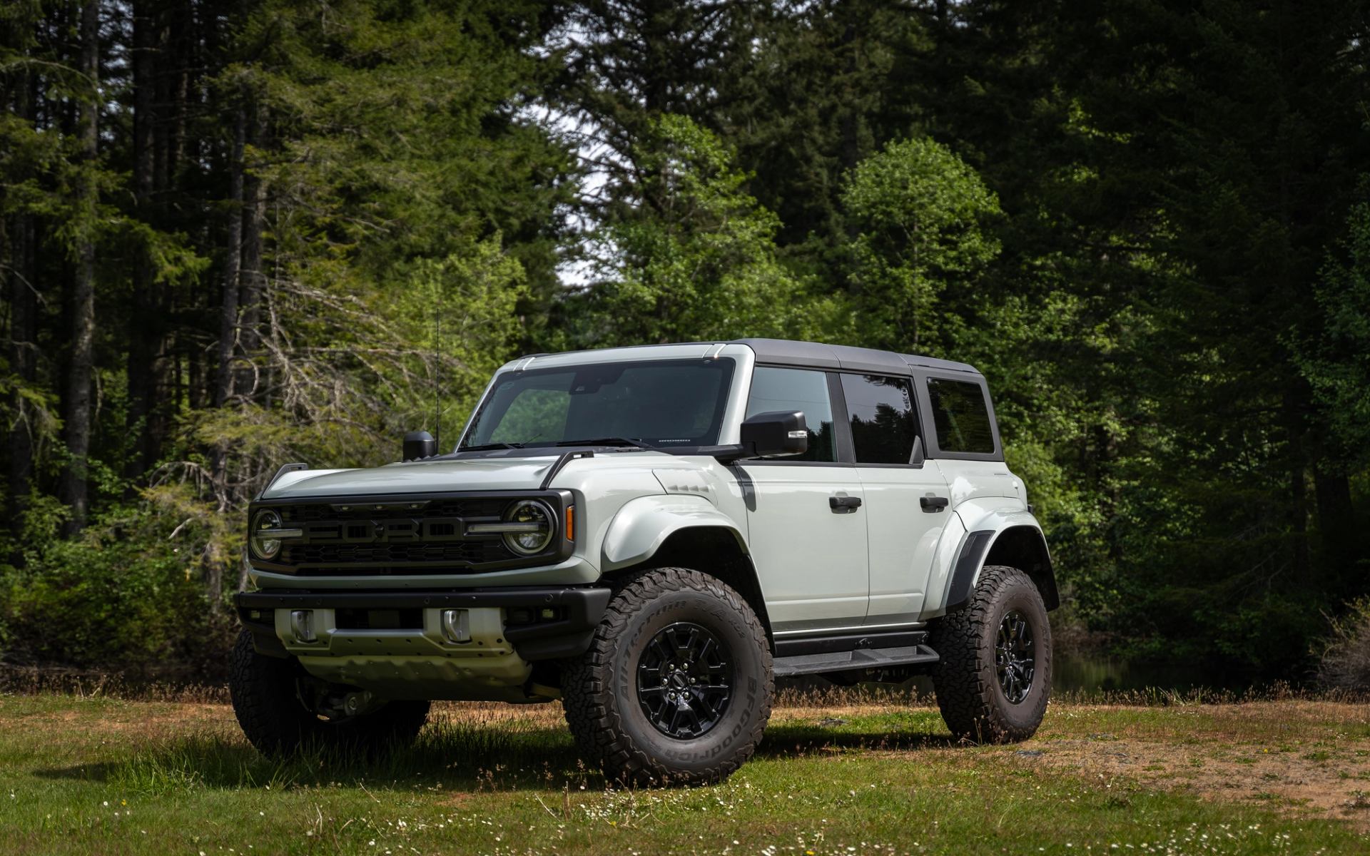 Light gray Ford Bronco SUV with black trim and large off-road tires parked on a grassy clearing surrounded by tall green trees.