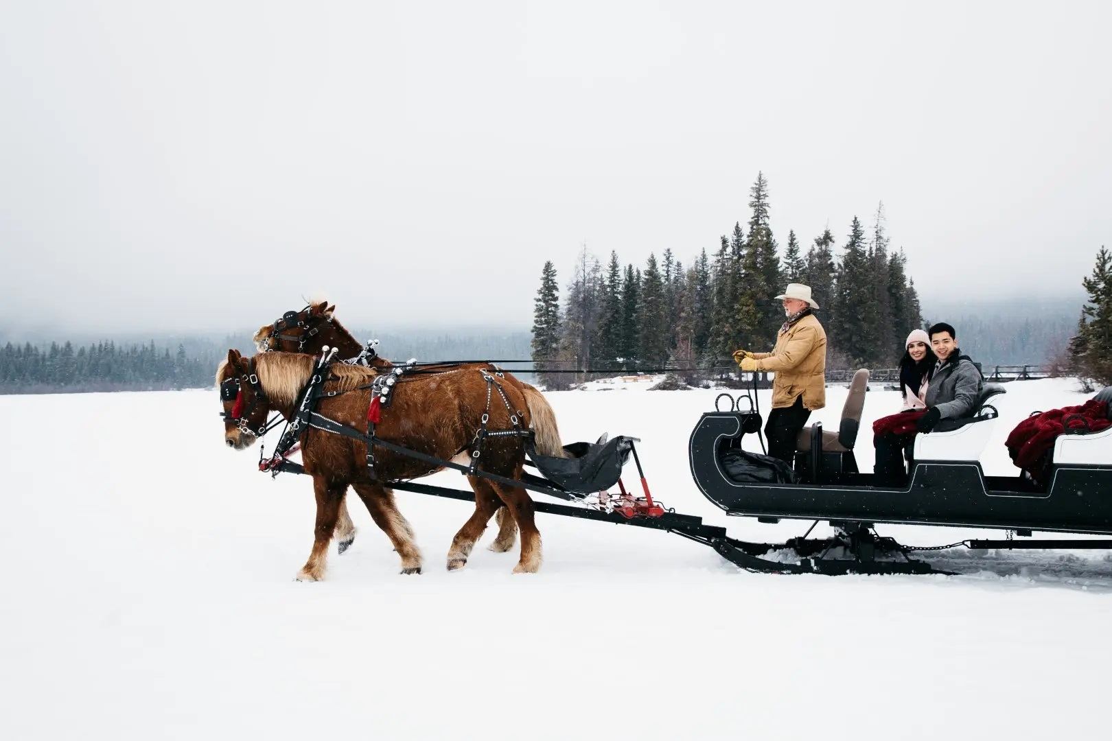 Horse-drawn sleigh glides across a snowy landscape with trees in the background.