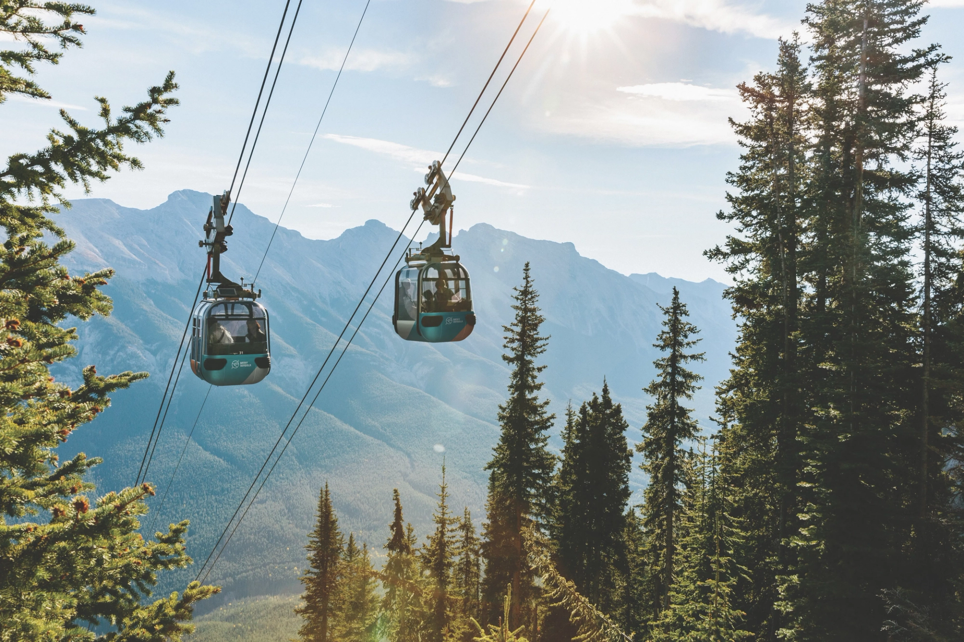 Gondola cabins travel above evergreen forest with distant mountain range and bright sun.