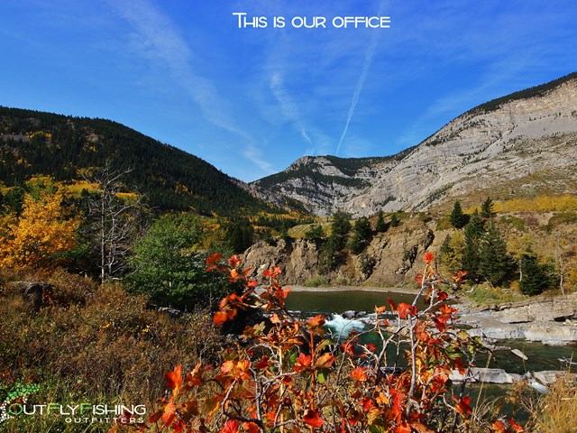 Mountain river scene with fall colors, cliffs, and blue sky.