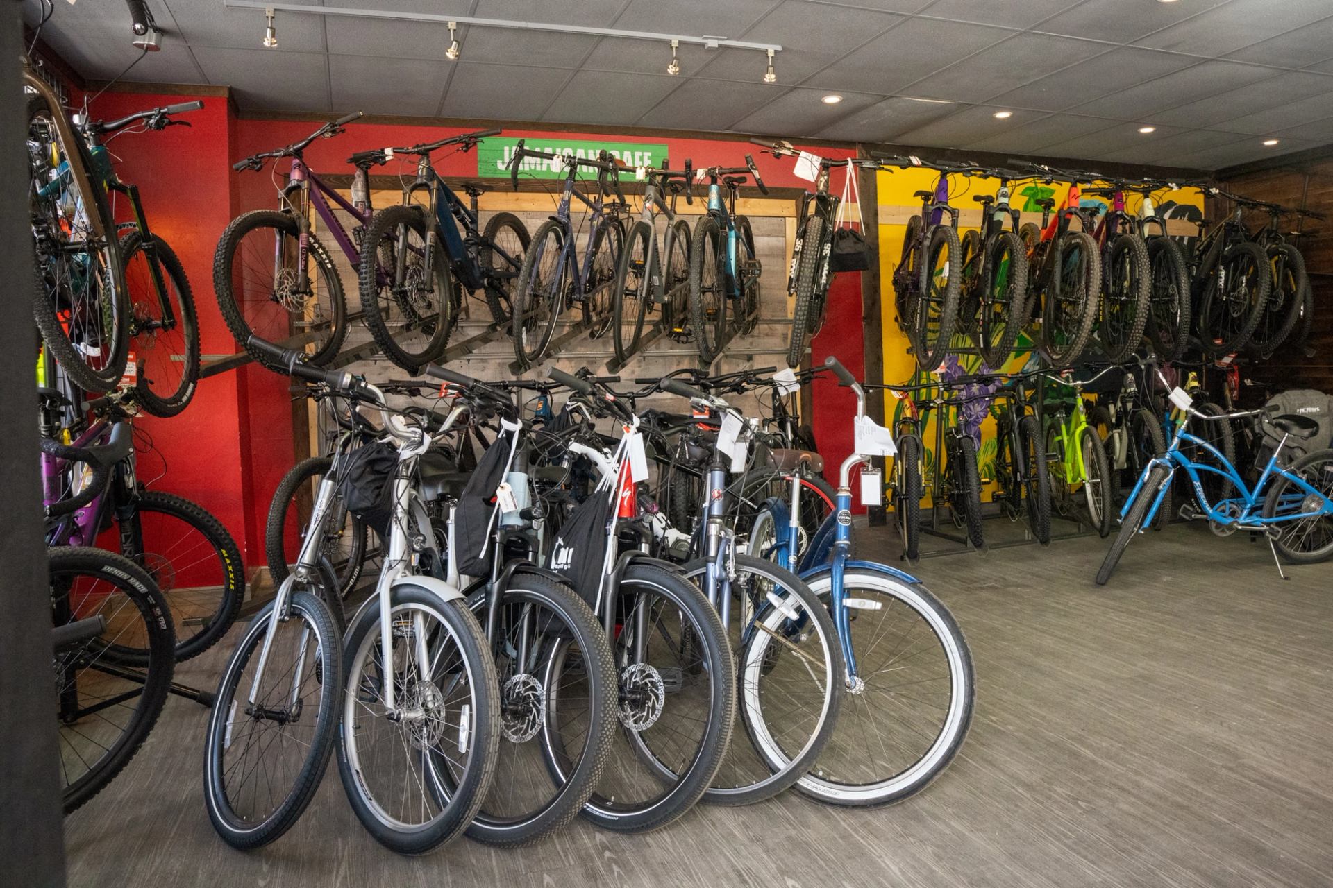 Bicycles on display at Vicious Cycle & Snow bike shop in Jasper.