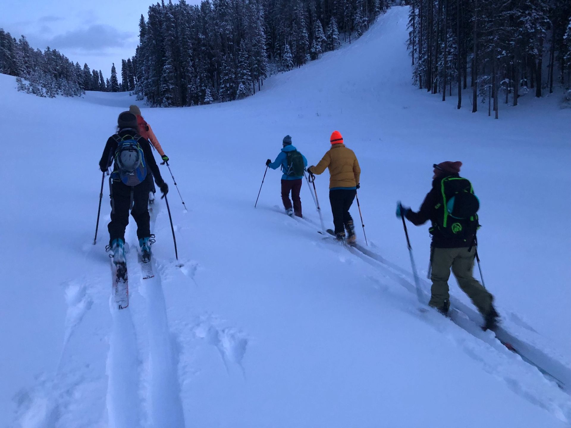 Five snowshoers trekking through deep snow on a wide trail surrounded by trees.