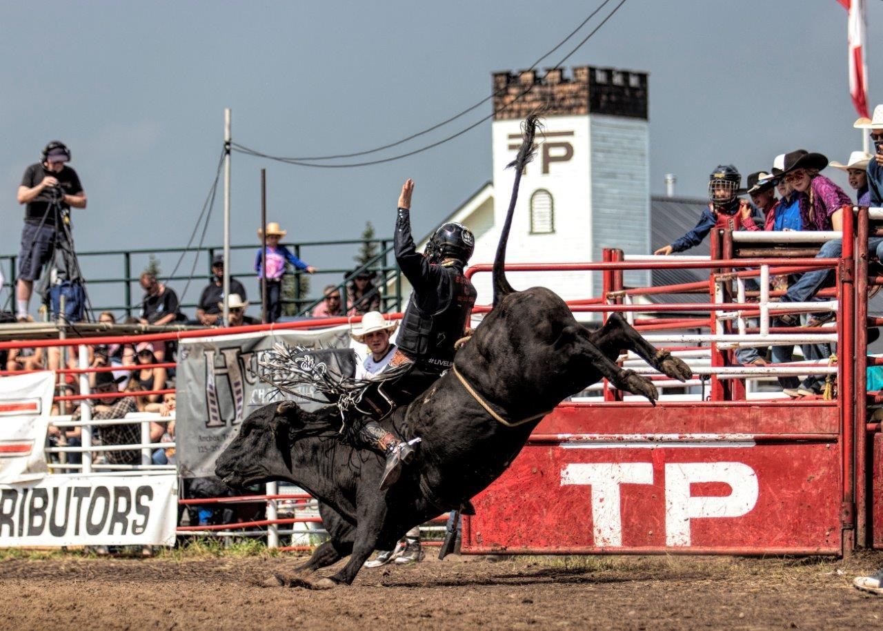 Bull rider holds on as bucking bull leaps in rodeo arena before spectators.