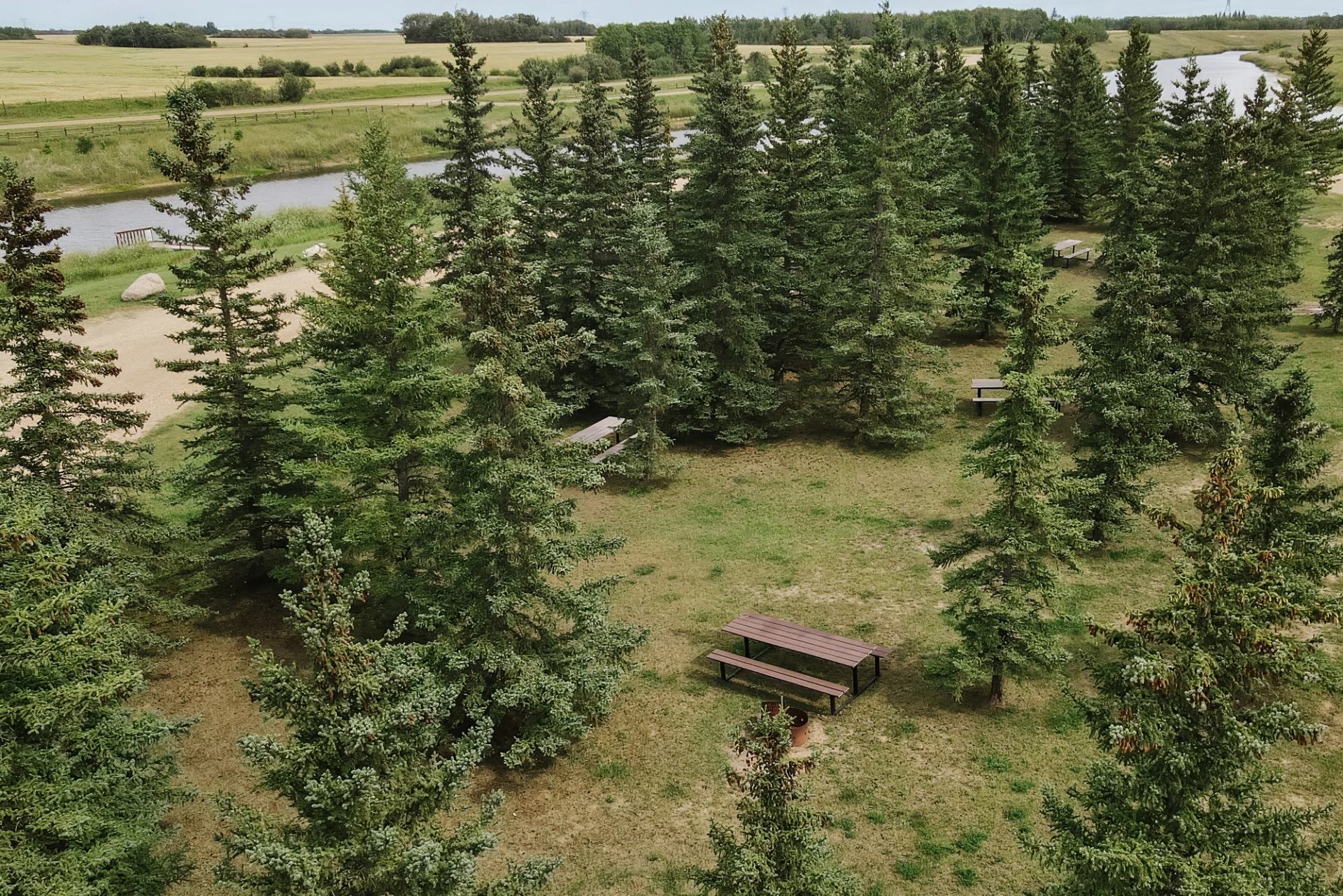 Aerial view of evergreen trees surrounding picnic tables beside a winding river.