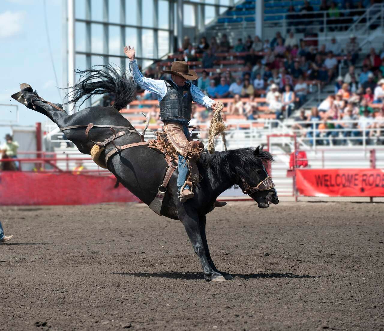 Rodeo rider on bucking horse in dirt arena with grandstand crowd in background.