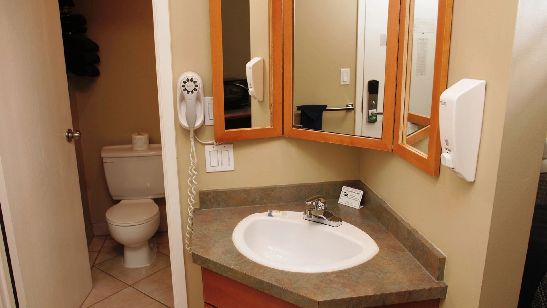 Bathroom vanity with sink, mirror, wall-mounted hairdryer, and view of toilet in adjoining space.