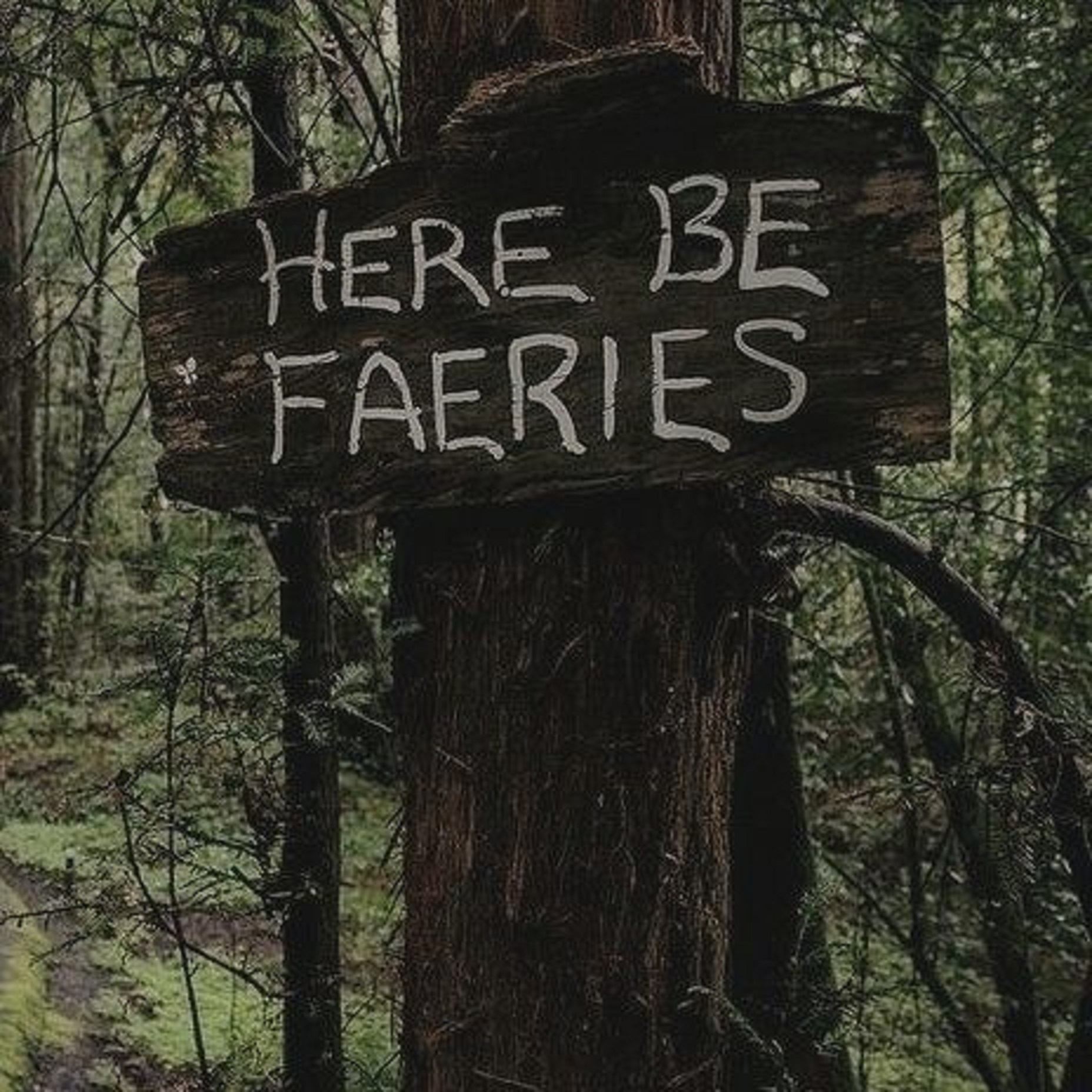 A rustic wooden sign in a forest reads "HERE BE FAERIES".