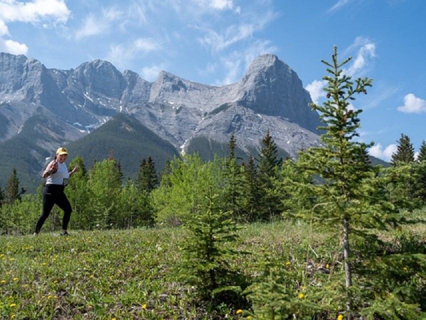 Hiker walking on trail with pine trees and rocky mountains under blue sky.