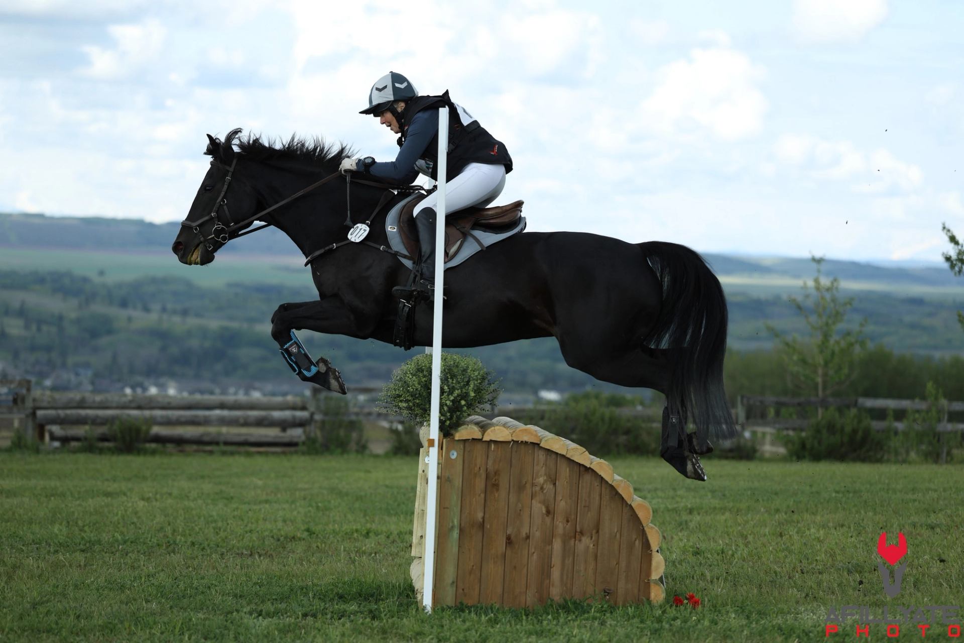 Equestrian jumping obstacle with scenic mountain backdrop
