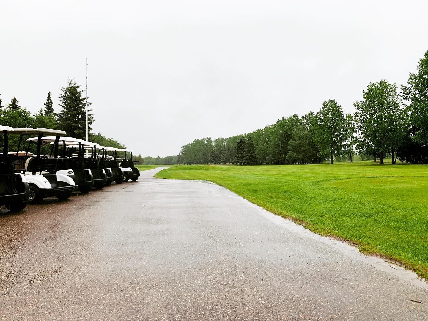 A row of golf carts parked along a paved path.