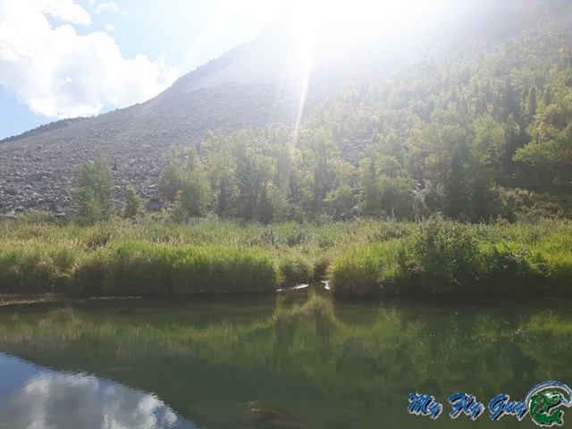 Sunlit hillside with trees and a calm river in the foreground.