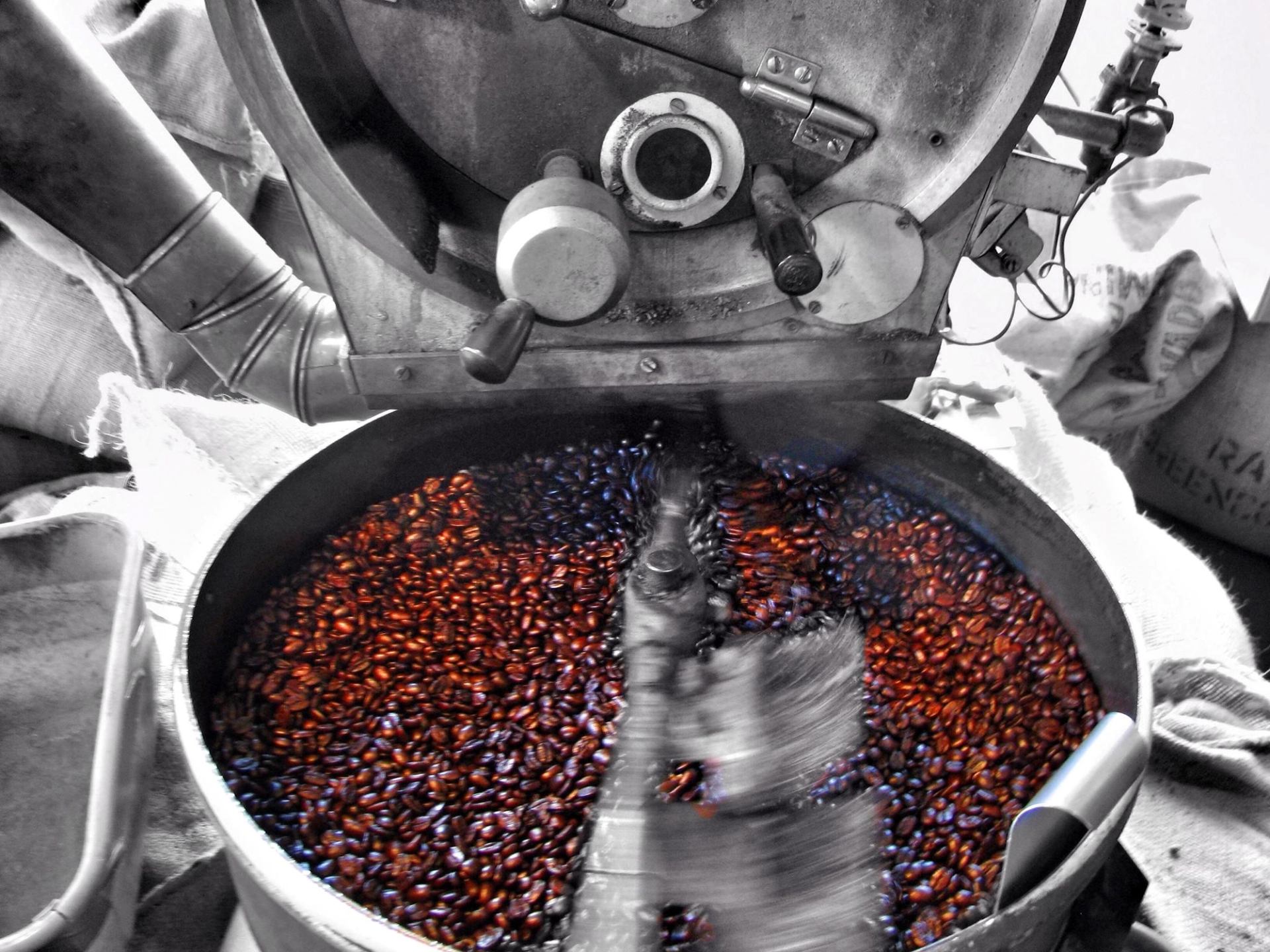 Coffee beans roasting in a large metal drum inside a roastery.