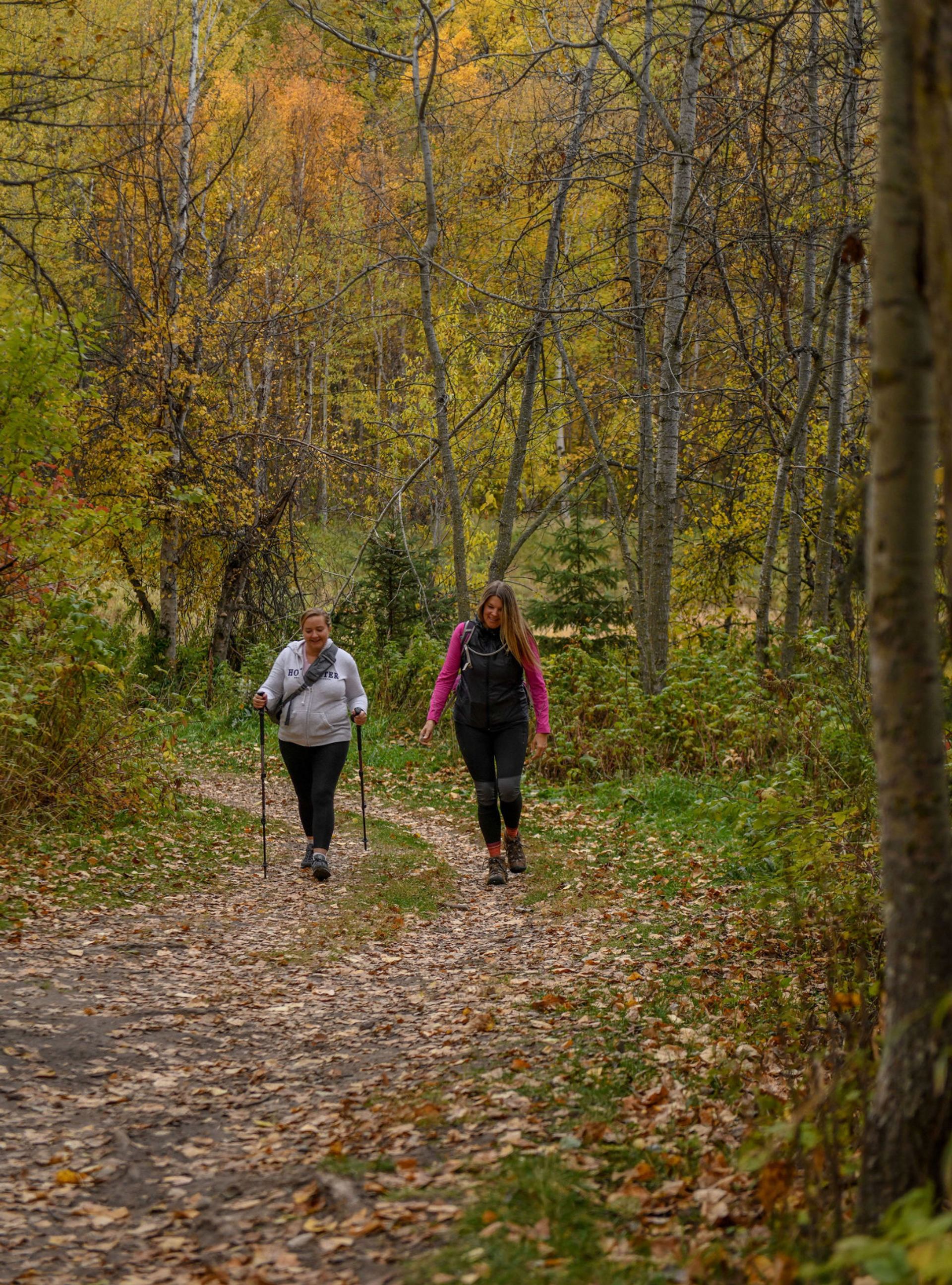 Two hikers walking along a forest trail surrounded by fall foliage.