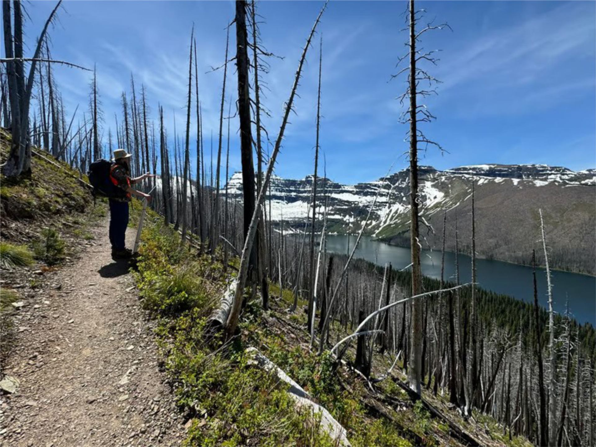Hiker on narrow trail overlooking mountain lake and charred forest landscape.