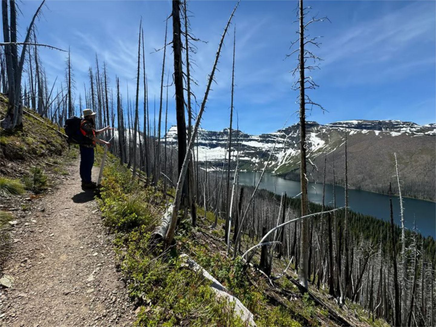 Hiker on narrow trail overlooking mountain lake and charred forest landscape.