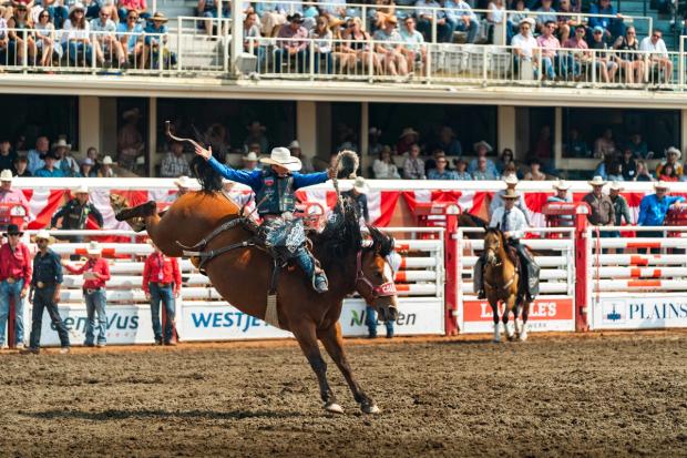 Rodeo rider at the Calgary Stampede.