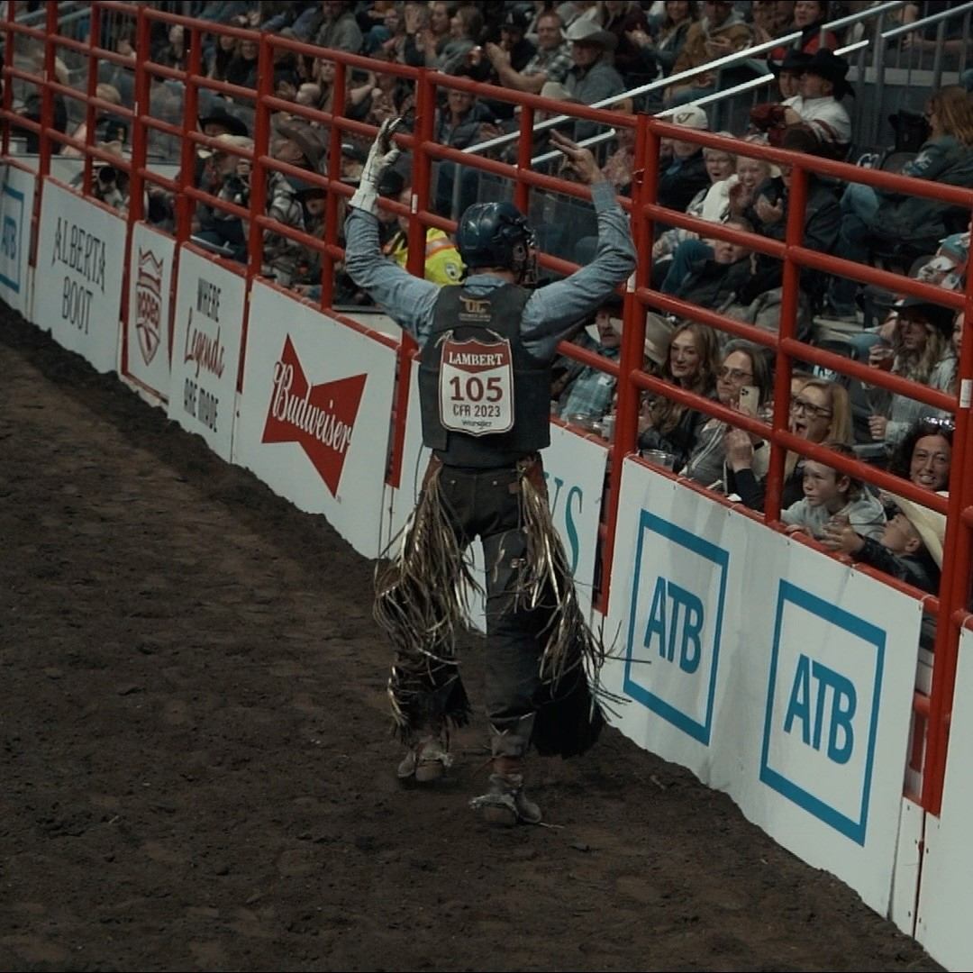 Rodeo rider in chaps and helmet on a dark horse in a fenced arena.