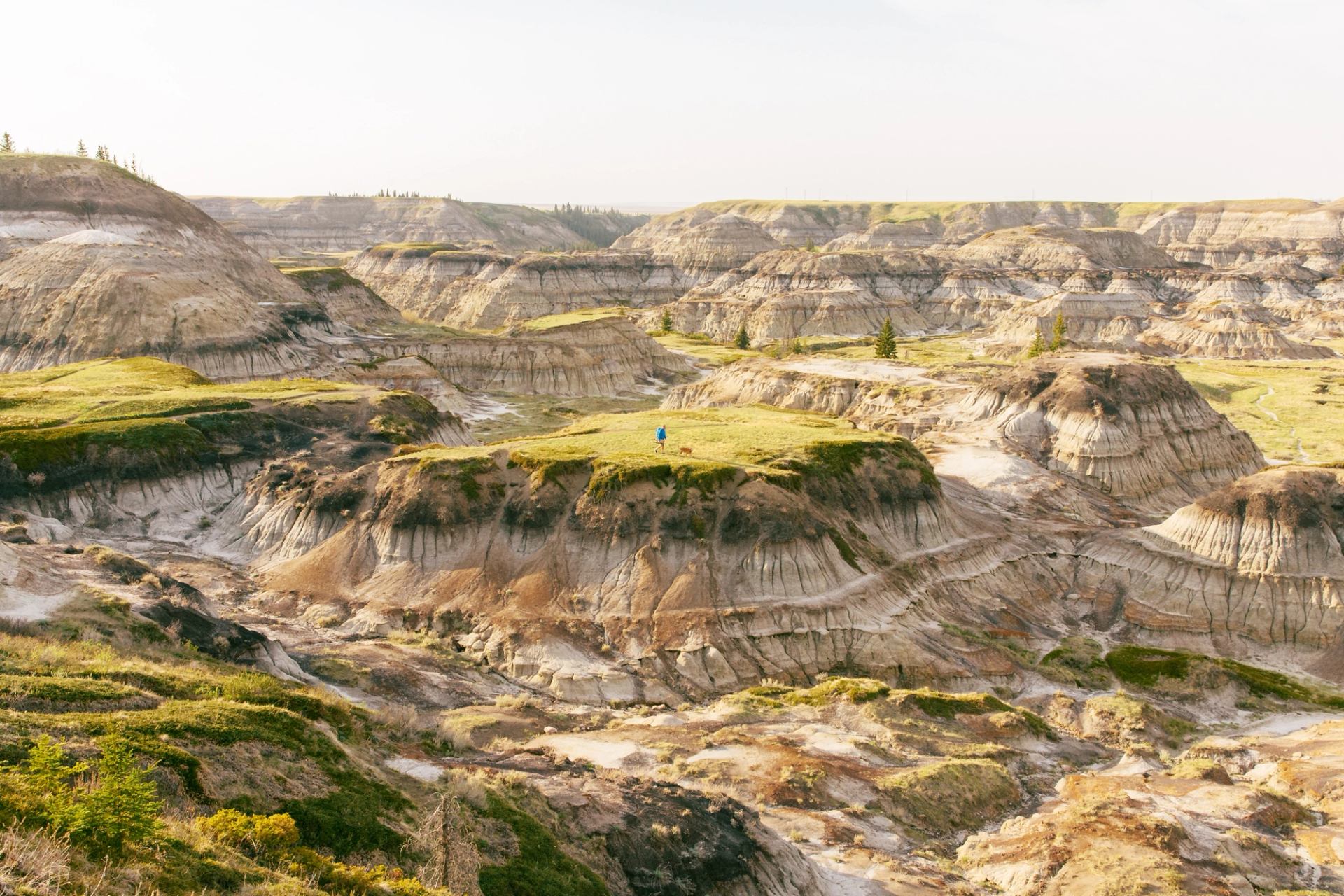 Person in blue jacket standing on grassy plateau amid layered badlands cliffs.