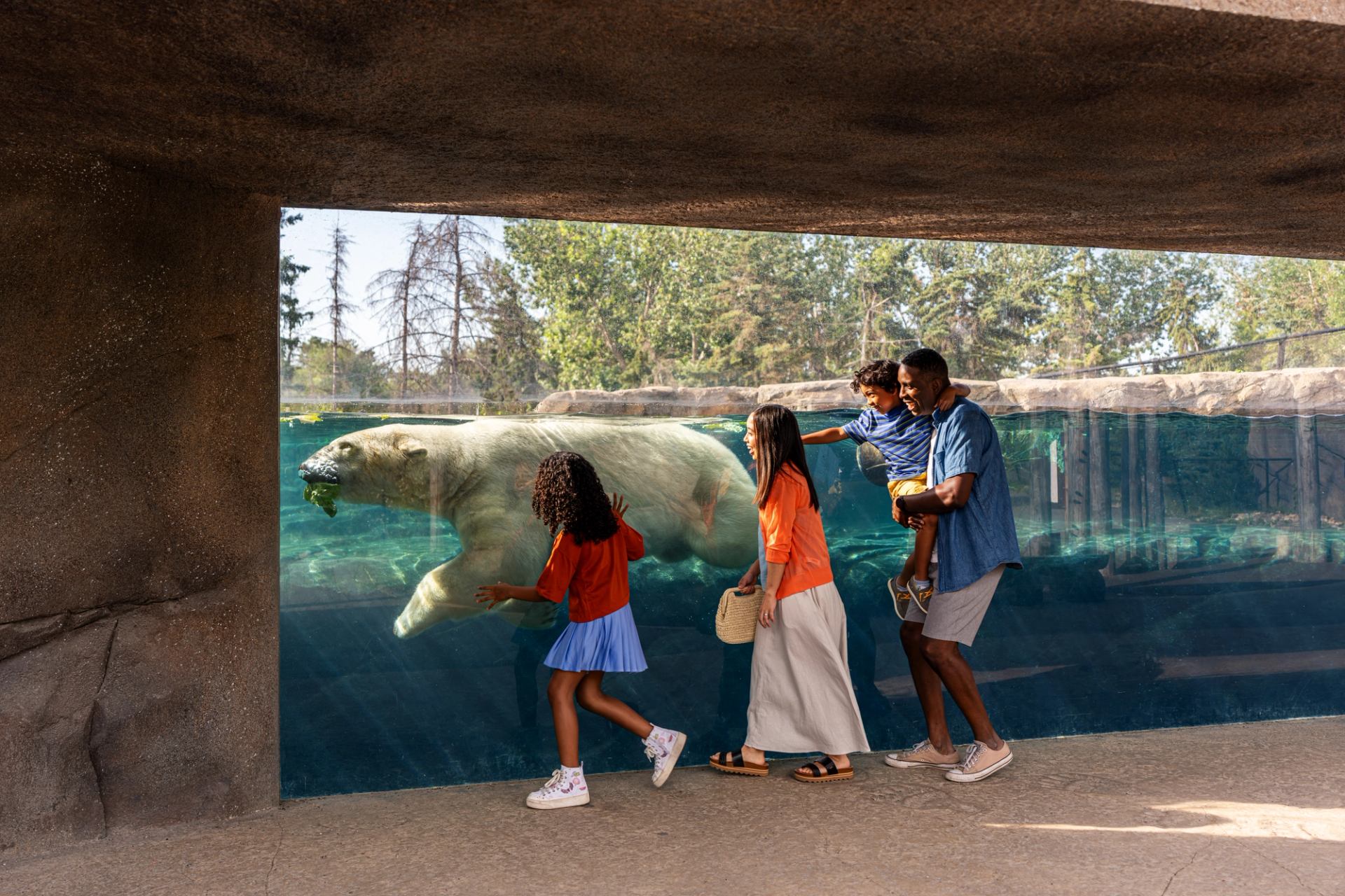 Family watches a polar bear swim past an underwater viewing window.