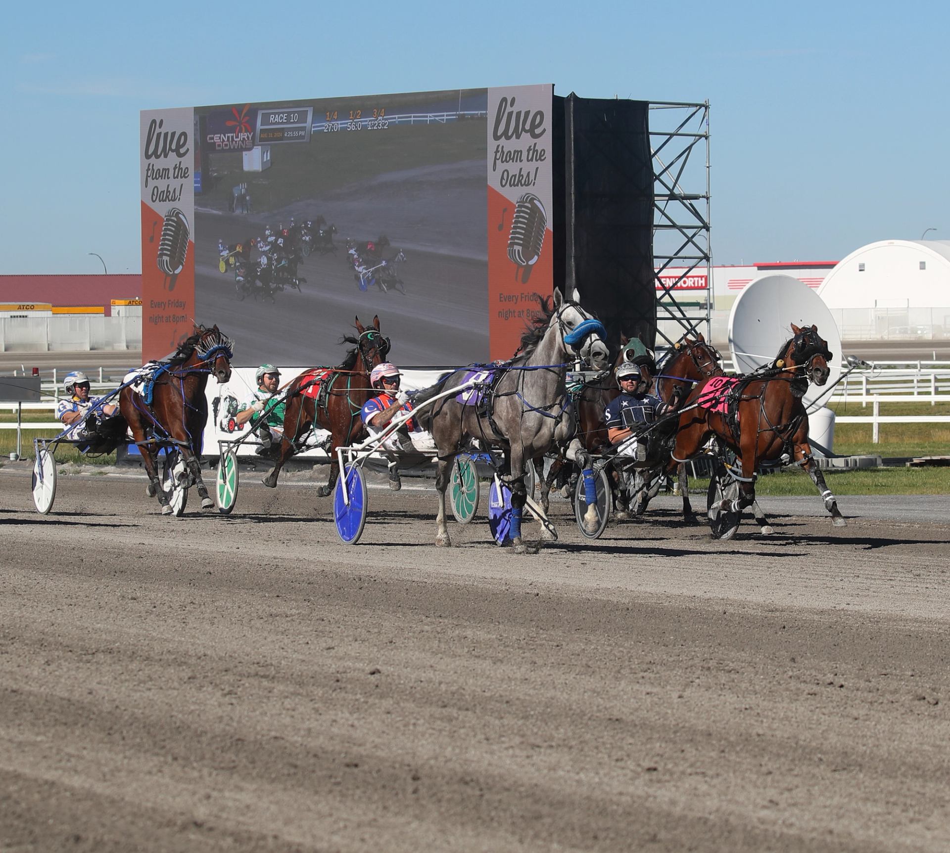 Horses and drivers compete on track at Cornstock event