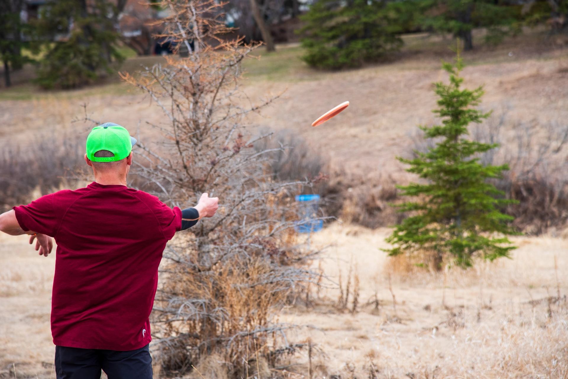A young adult throwing a disc around a tree towards the basket on hole 1 of the Stoney Creek Disc Golf Course.