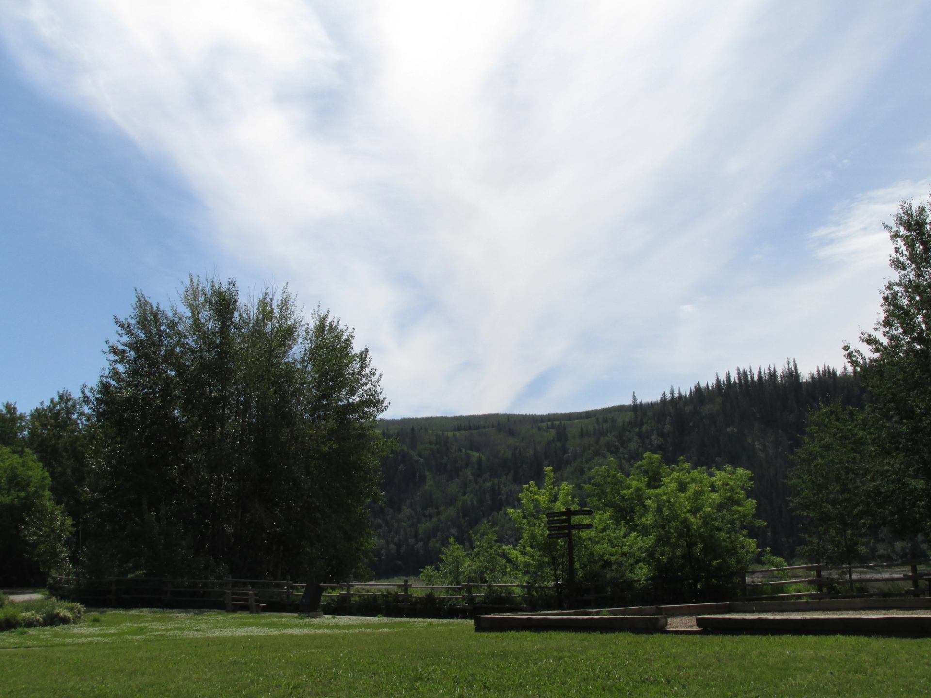 Grassy clearing with trees and hills under a sky filled with soft, sweeping clouds.