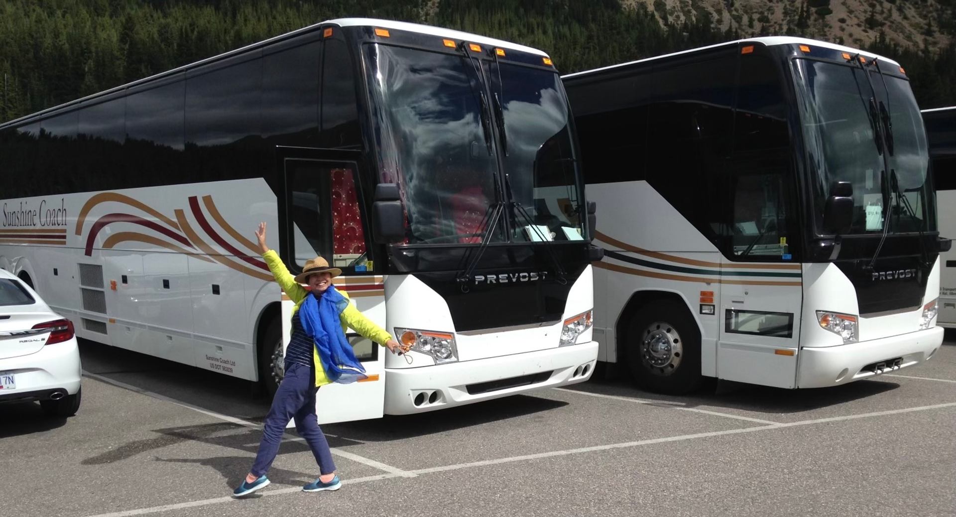 Two striped white buses parked; person poses in front of one.