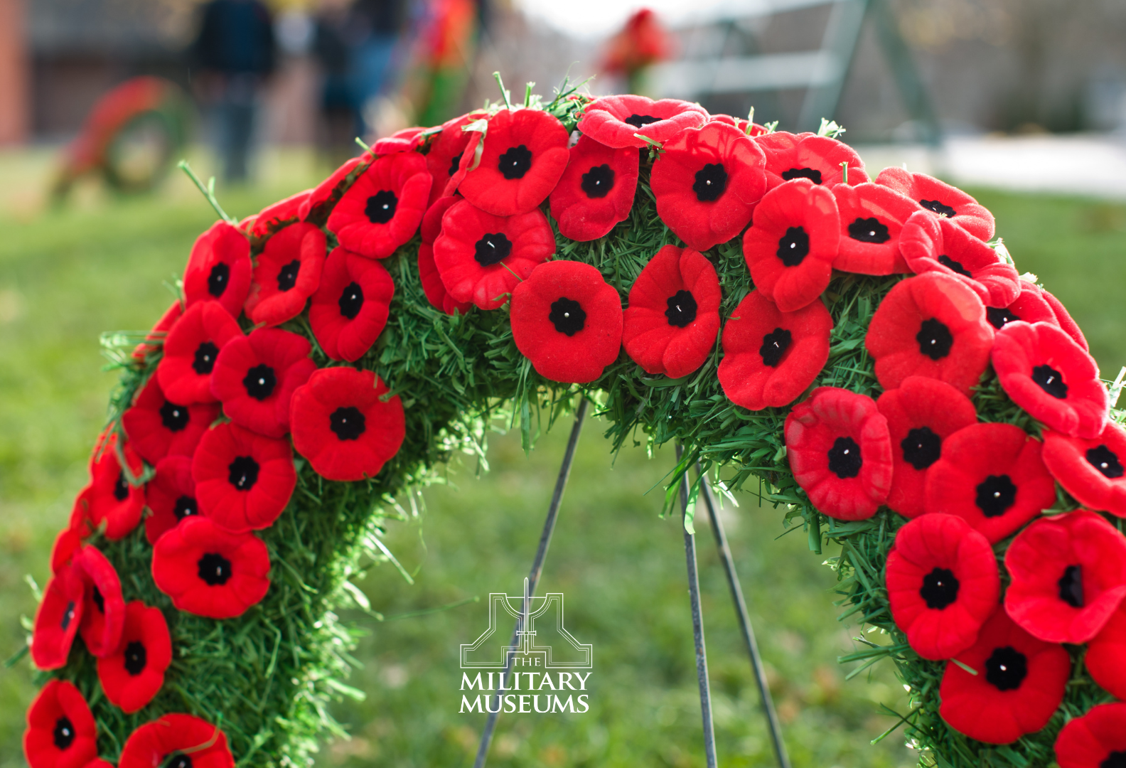 Red poppy wreath on grass with others in background.