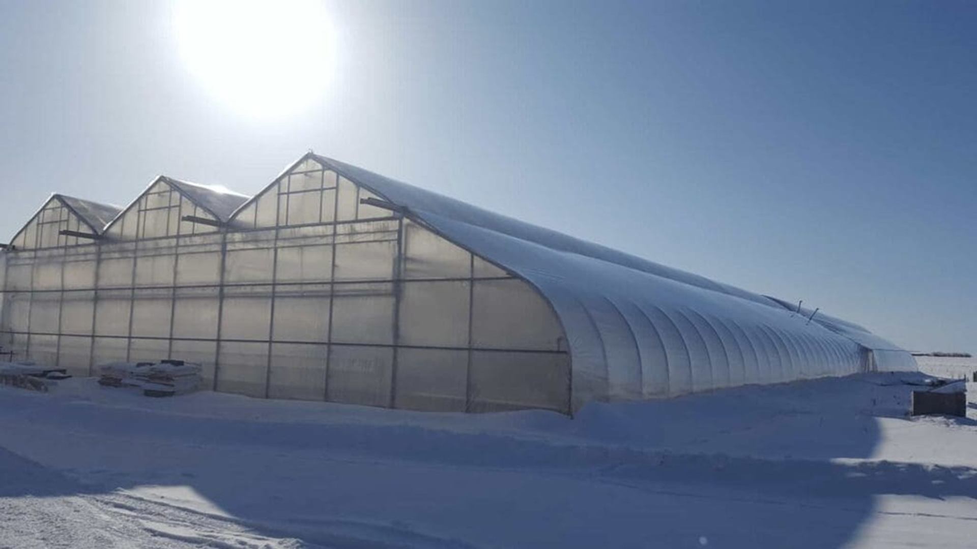 Large greenhouse complex covered in snow under bright sun and clear blue sky.