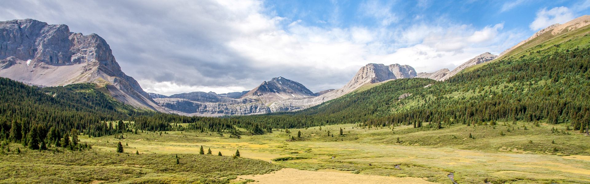 A wide mountain valley with green meadows, forests, and rugged peaks in Willmore Wilderness Park.