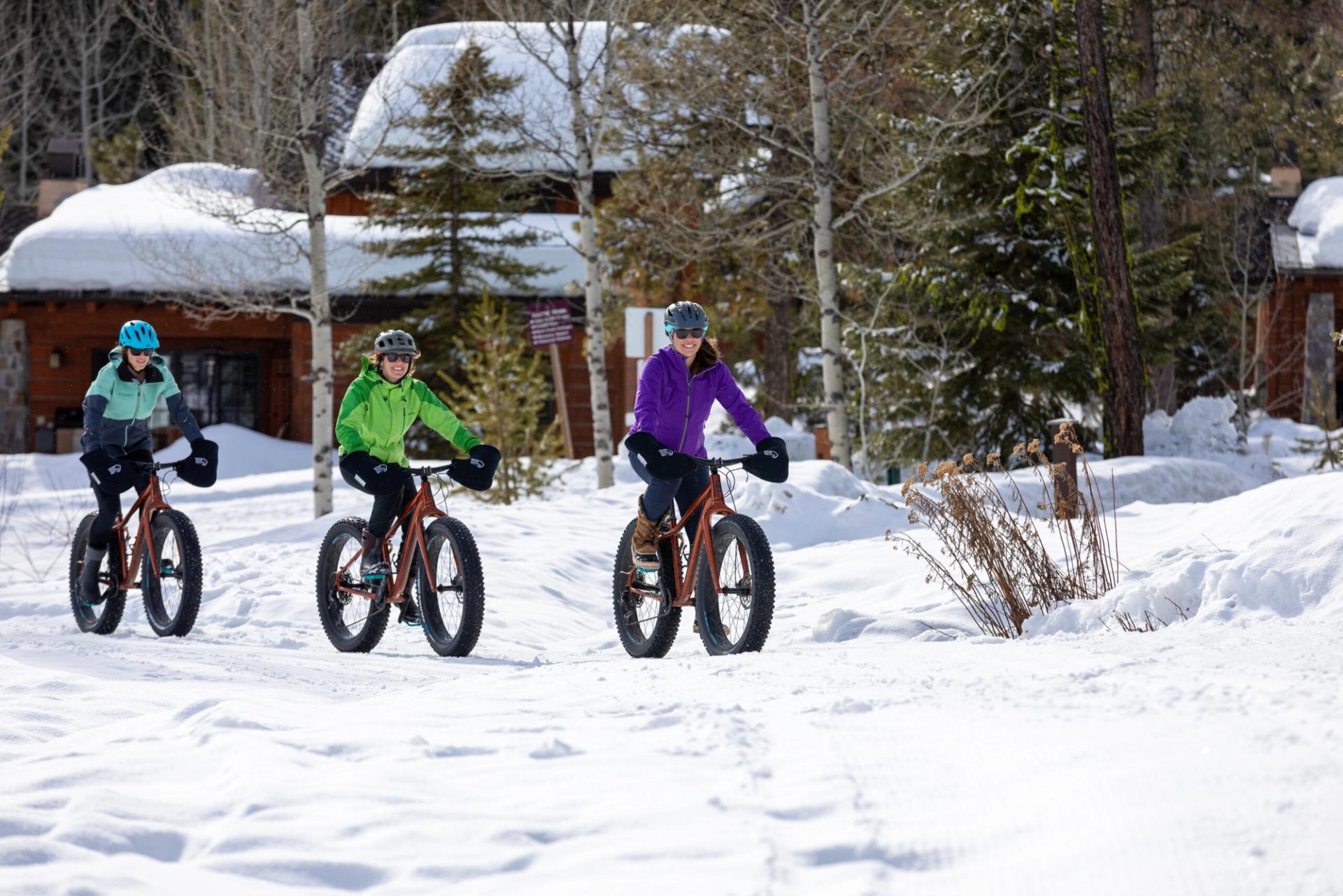 E-Fat Biking