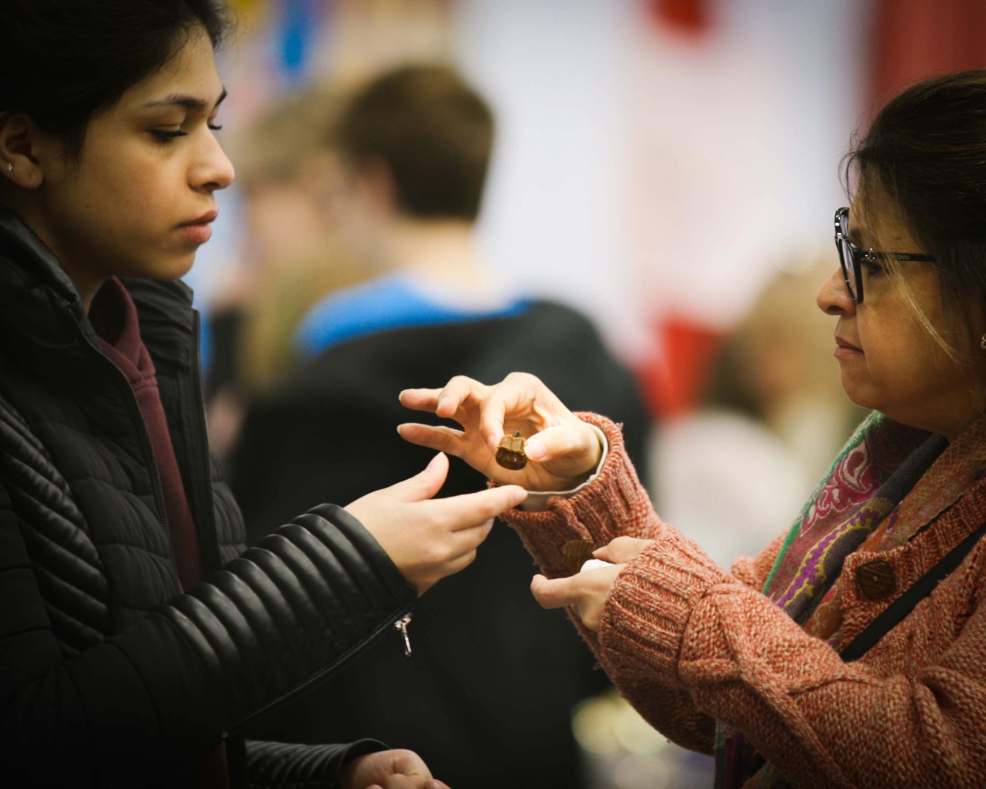 Two people exchange a small brown object between their hands indoors.