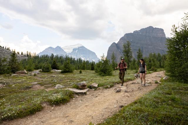 Hikers on Saddleback Trail.