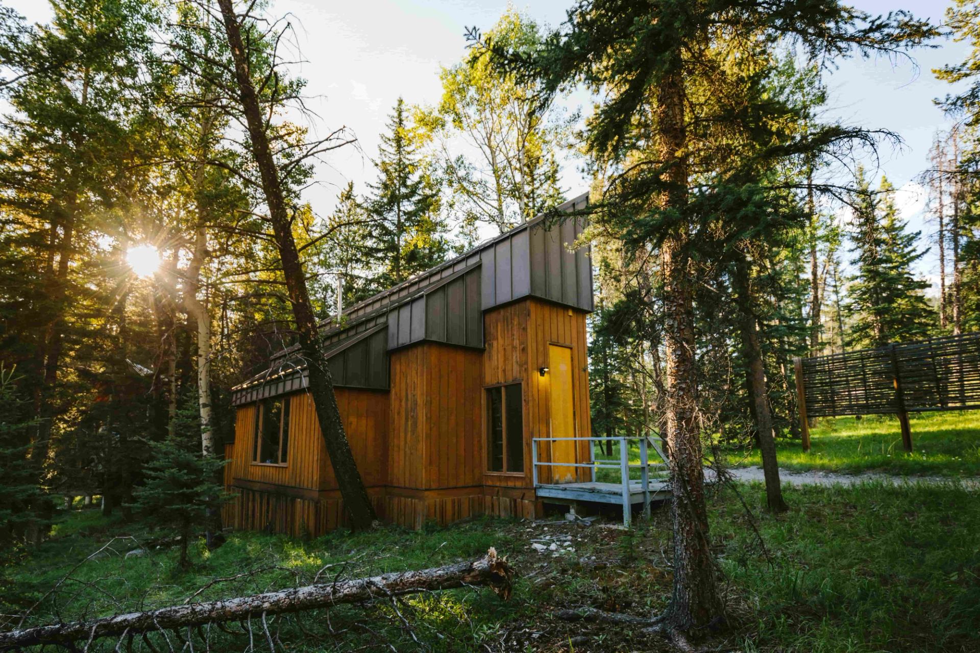 Wooden cabin with sloped roof surrounded by tall evergreen trees and sunlight.
