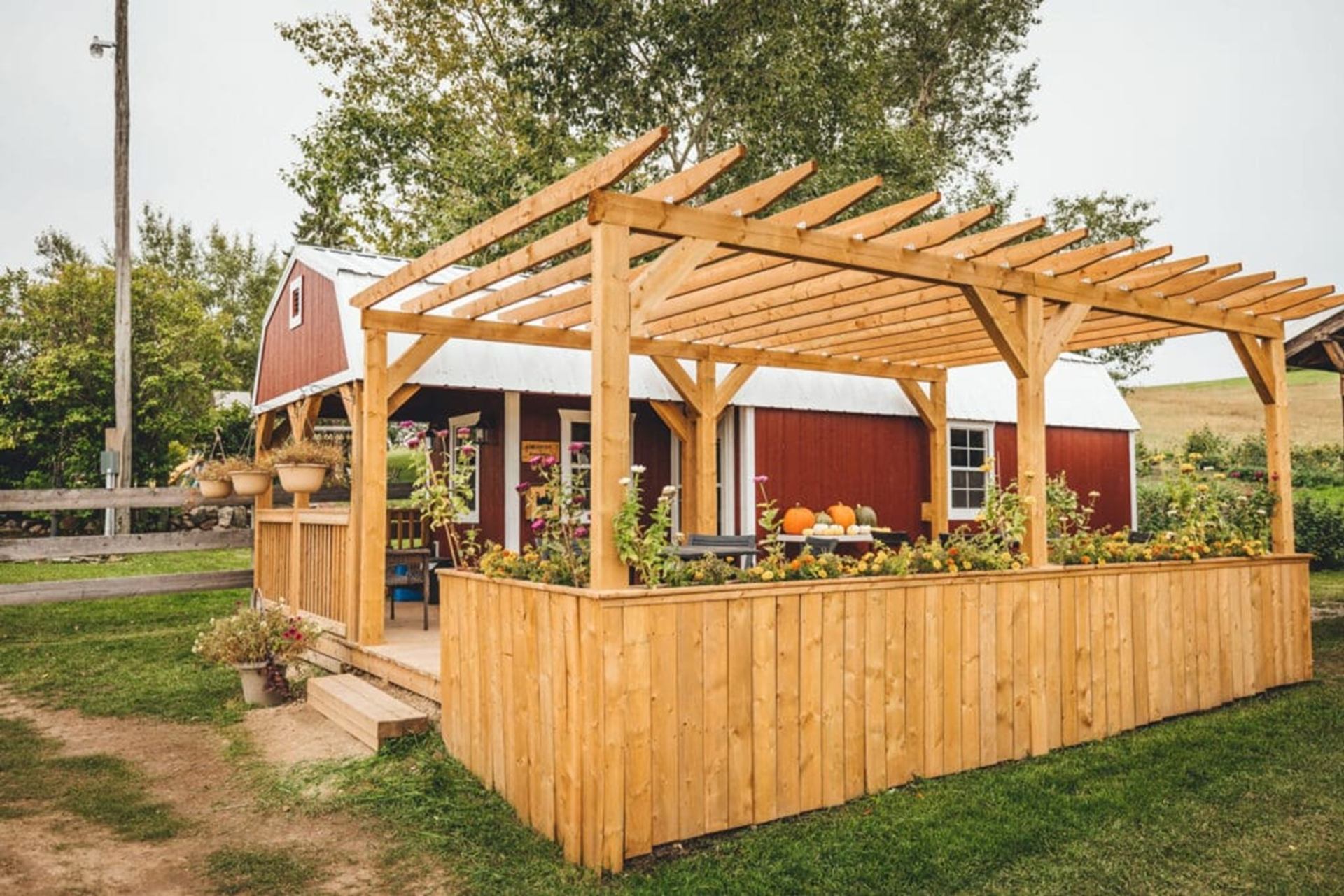 Wooden pergola with planter boxes beside a red barn and outdoor pumpkins.
