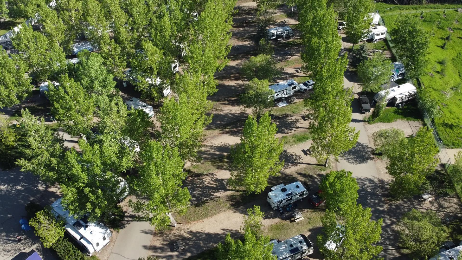 Aerial view of RV park with campers nestled among tall trees.
