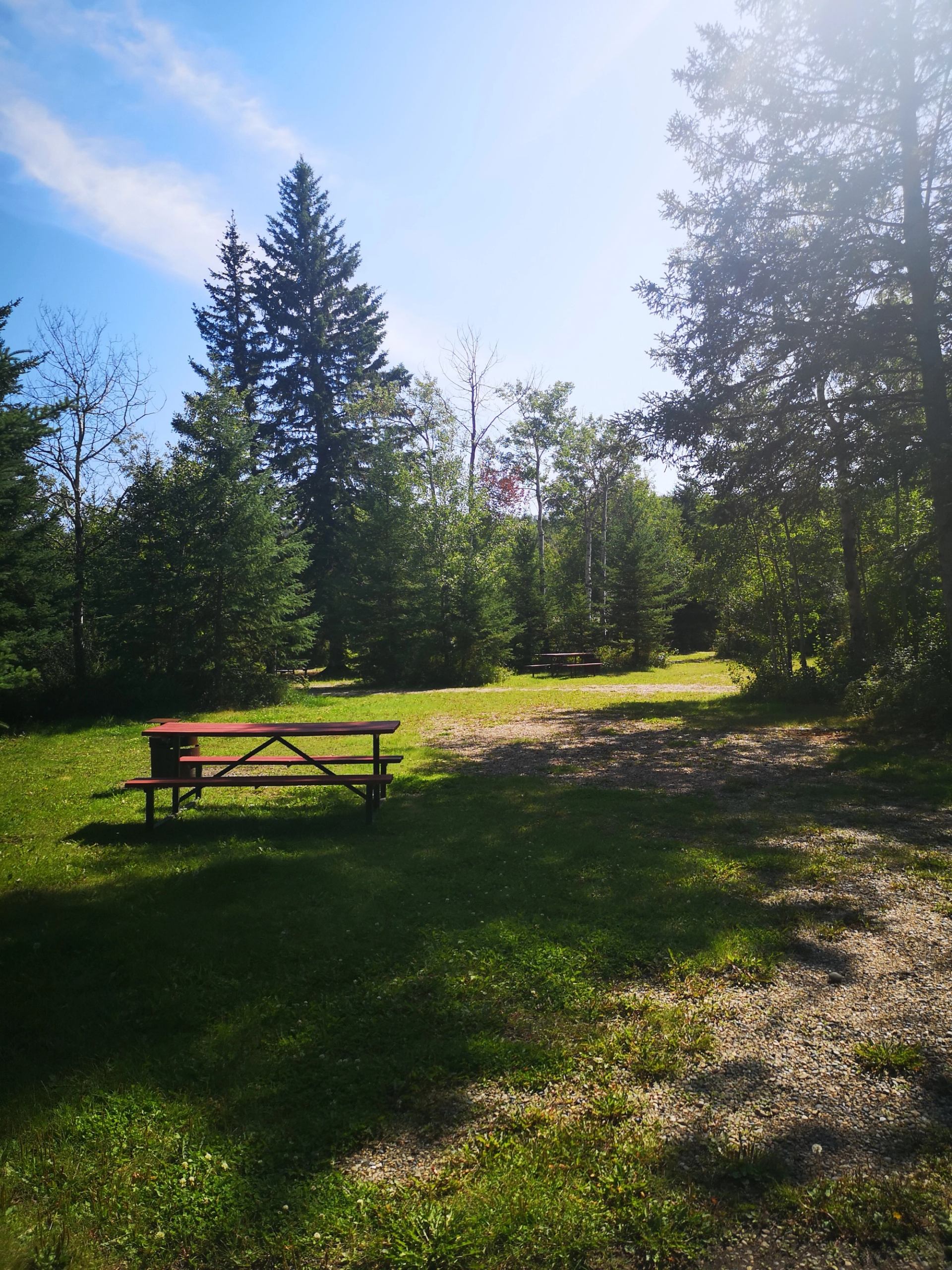 Picnic area at Tangent Park Campground.