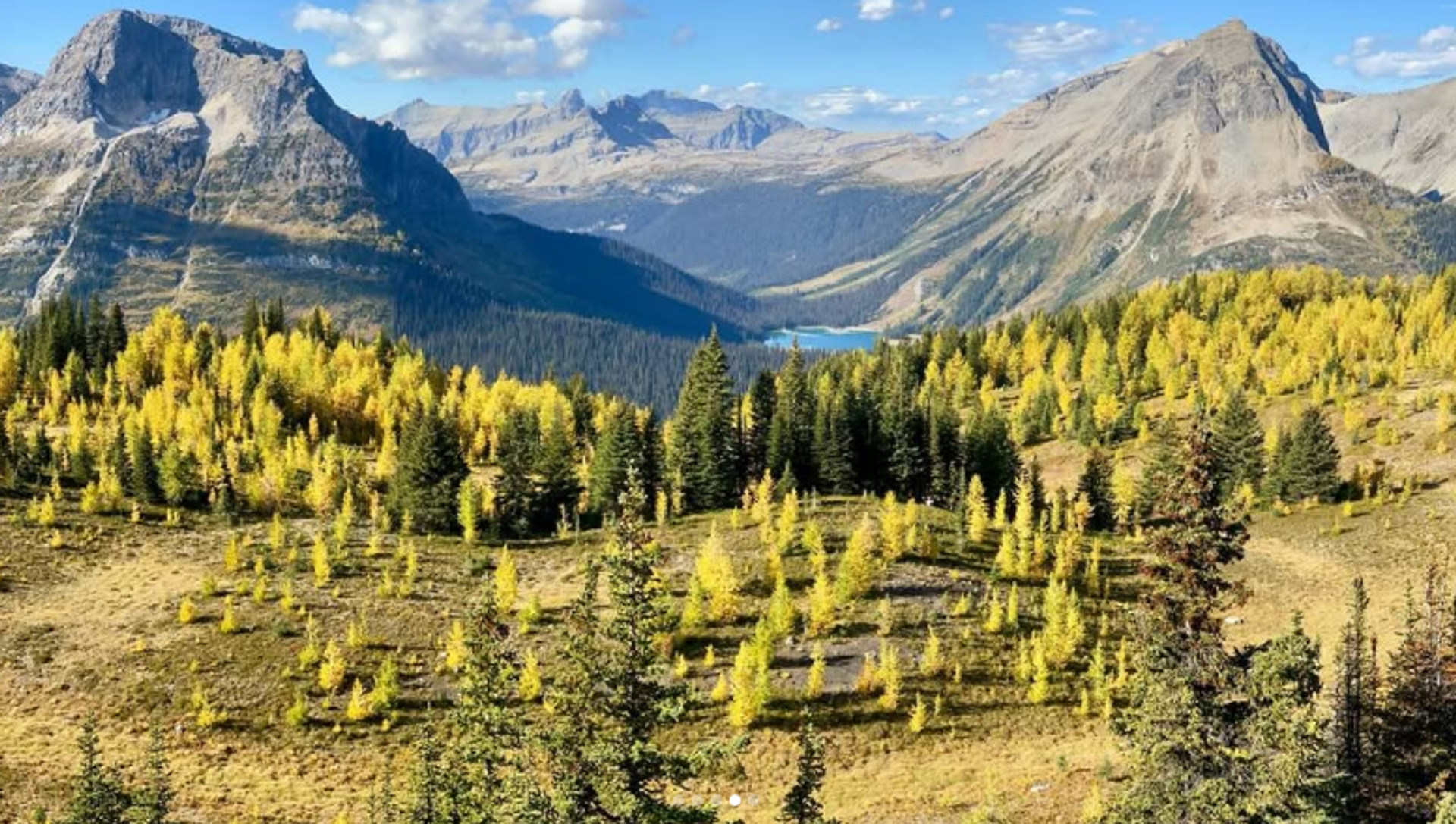 Rocky mountain peaks surround a turquoise lake and forest of yellow and green trees.