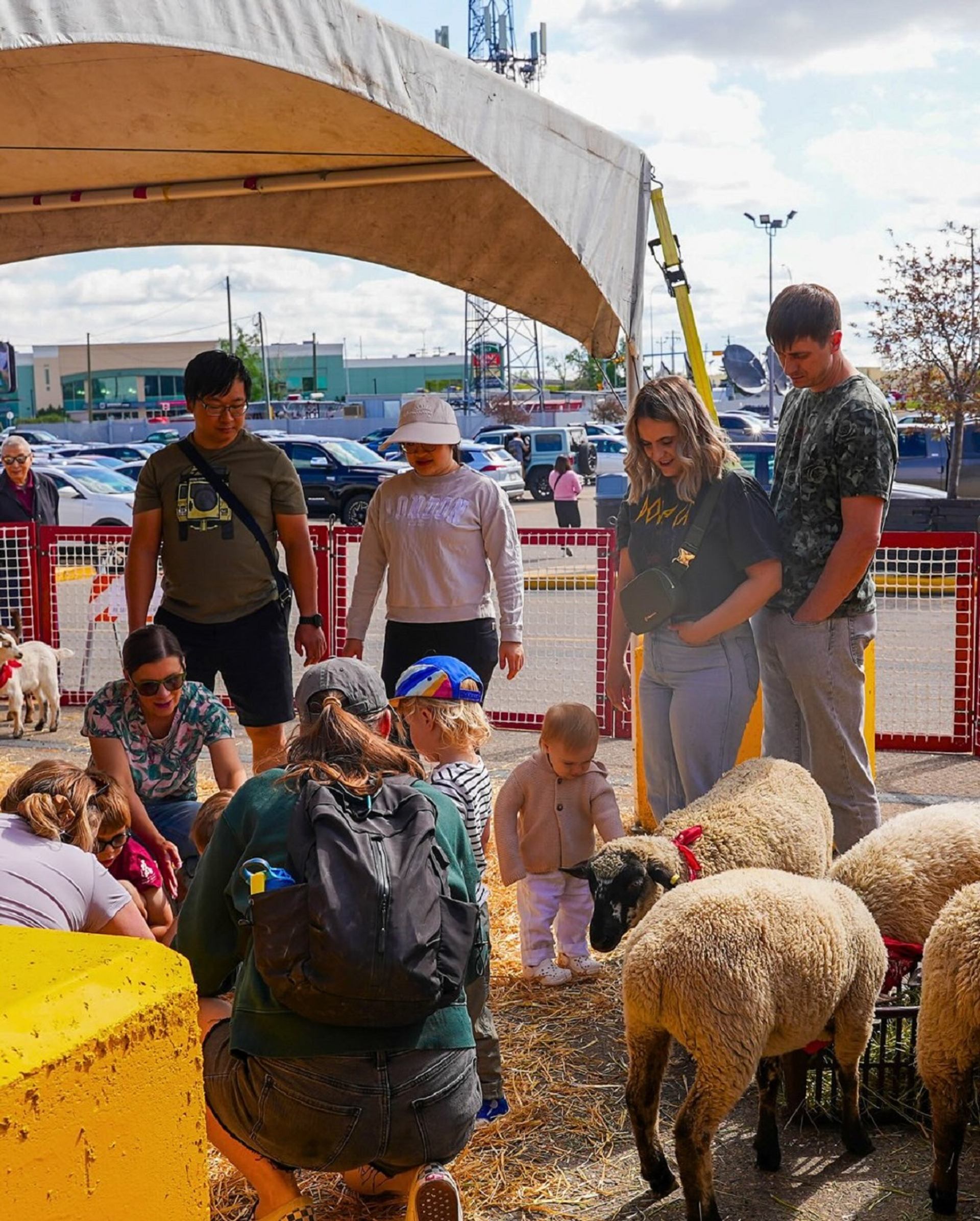 Group of people and children interacting with sheep at an outdoor petting area.