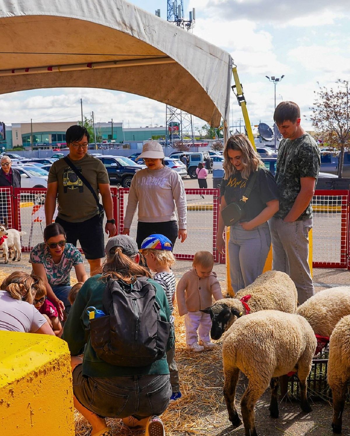 Group of people and children interacting with sheep at an outdoor petting area.
