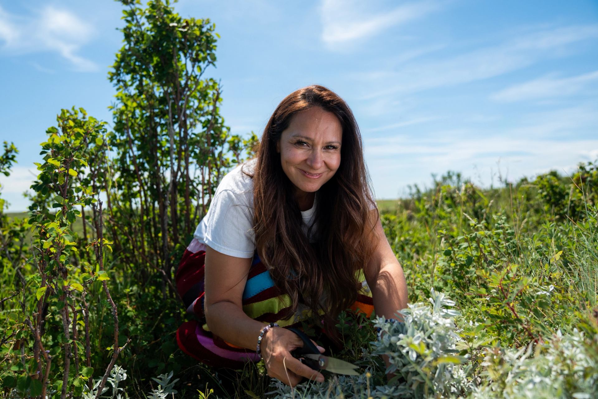 A person kneels in a green field, harvesting plants under a bright blue sky.