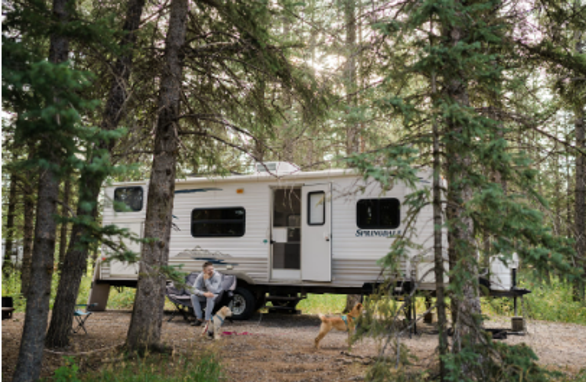 Camping trailer parked among tall trees with person sitting outside and dog nearby.