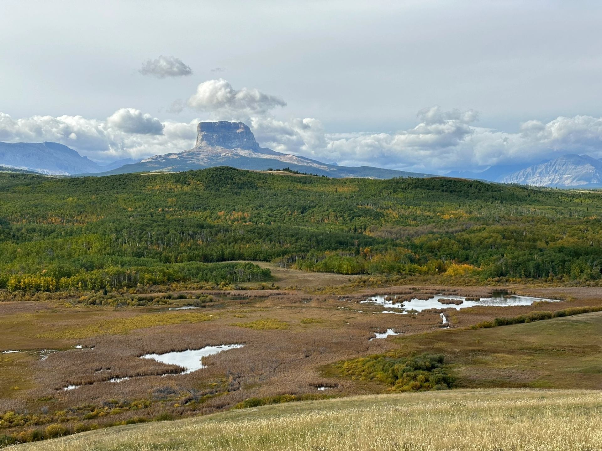 Flat-topped mountain rises beyond rolling green hills, wetlands and scattered reflective ponds.