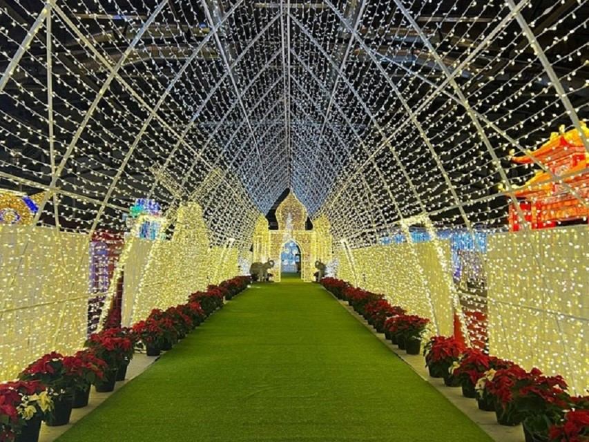 Tunnel of golden lights with green walkway and poinsettias at Glow Calgary.
