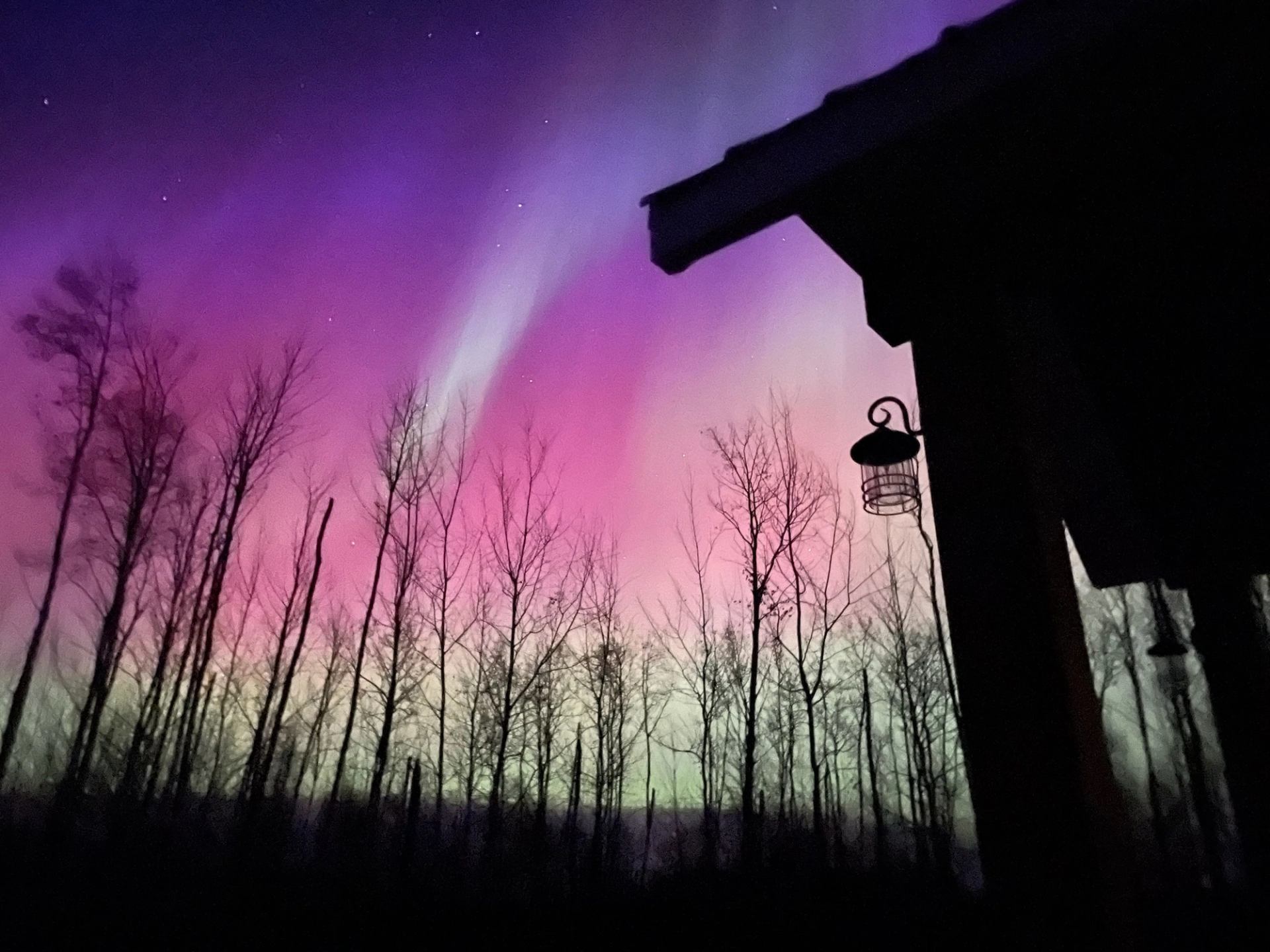 Northern Lights glow above trees and cabin at Wildly Eweneek Cabins.