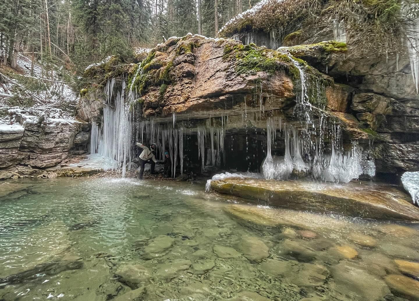 Waterfall cascading into clear pool beside icy rock ledge in forest.