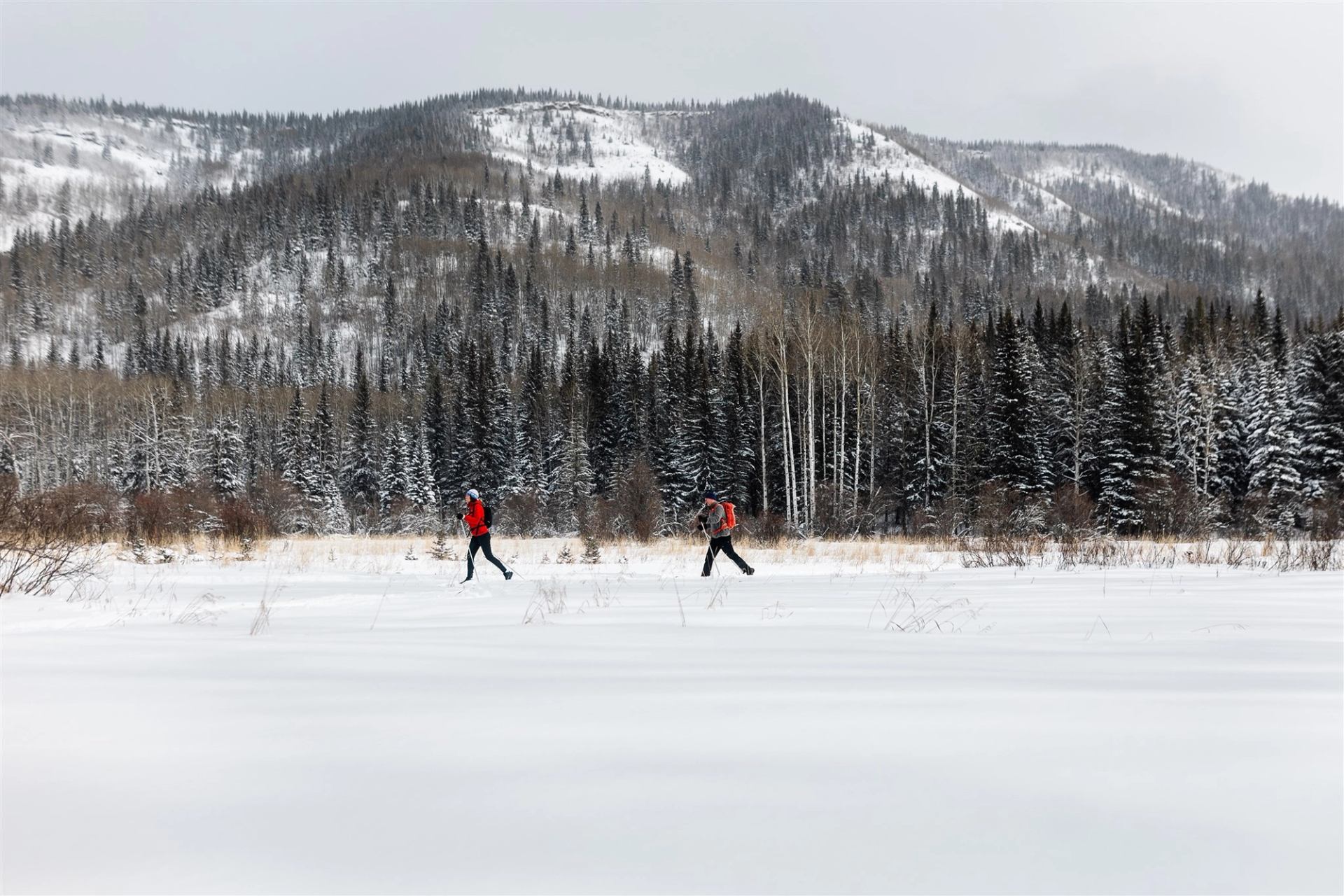 Joachim Valley | Canada's Alberta thumbnail