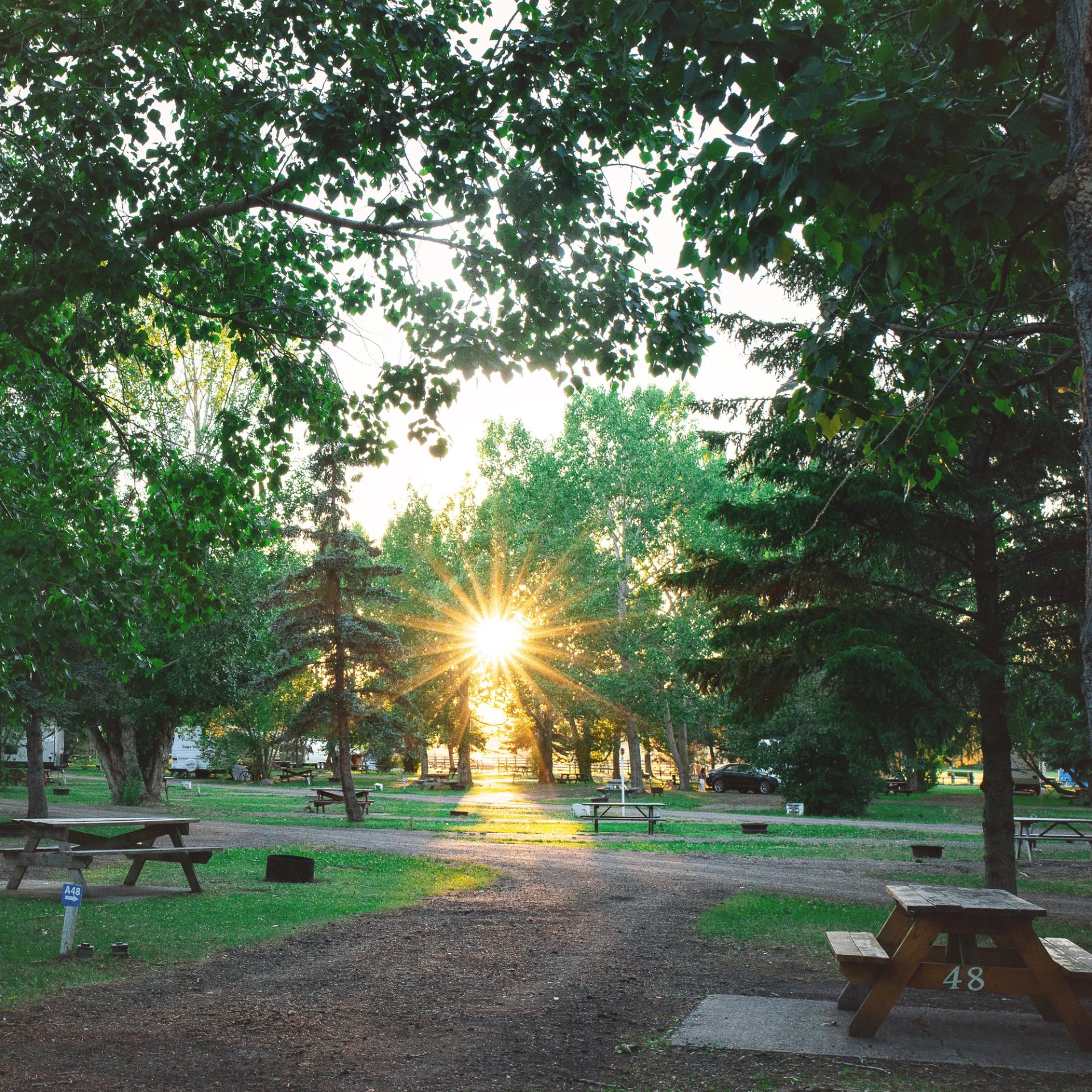 Picnic area at Half Moon Lake Resort.
