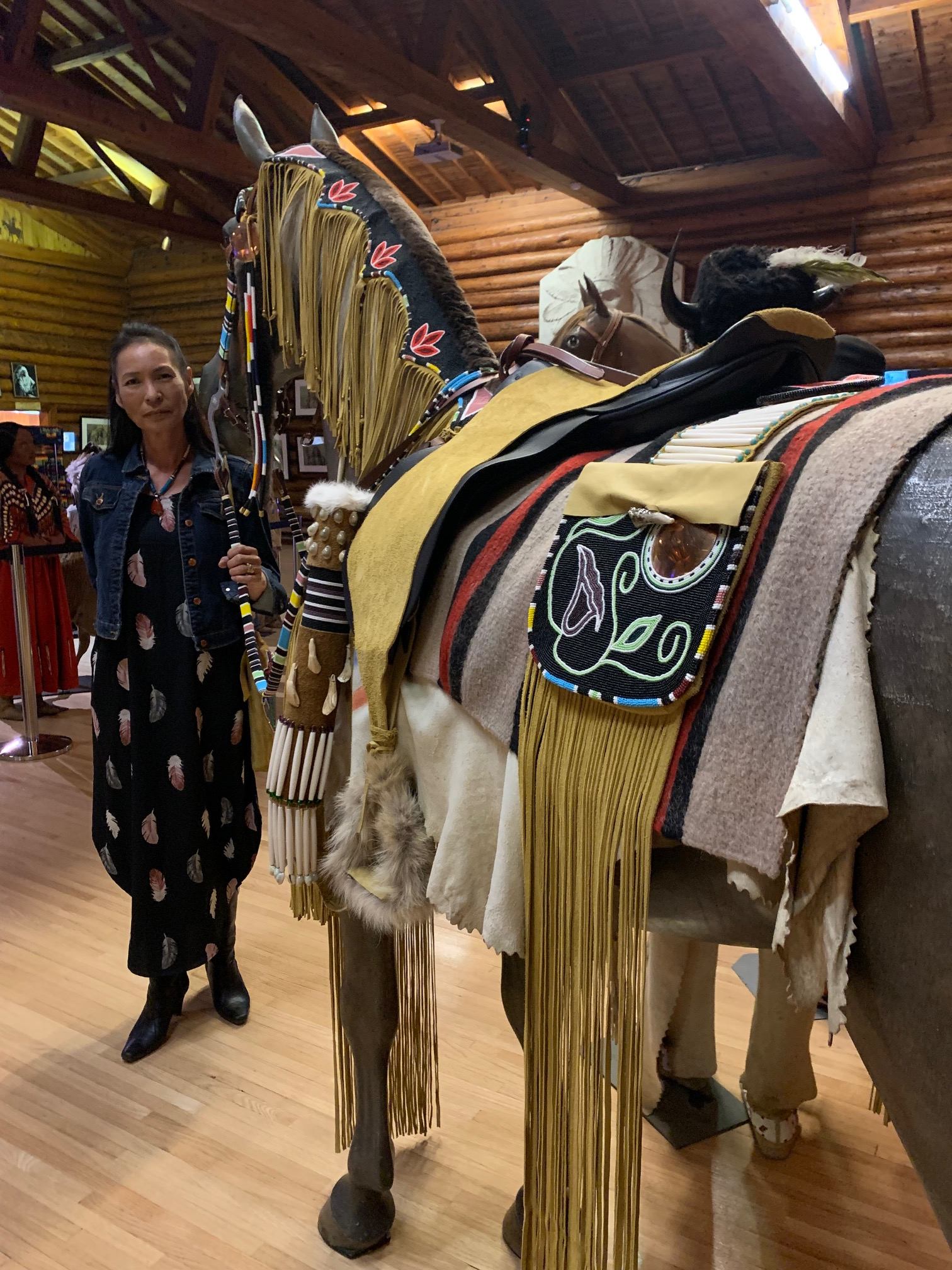 Tania's beaded horse regalia
